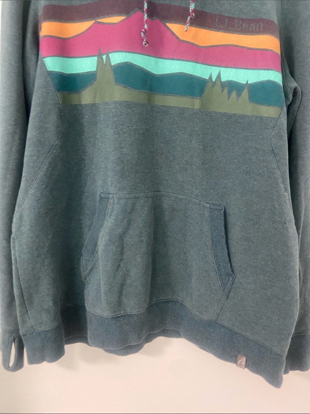 L.L. Bean Cozy Camp Graphic Hoodie - Picture 5 of 12